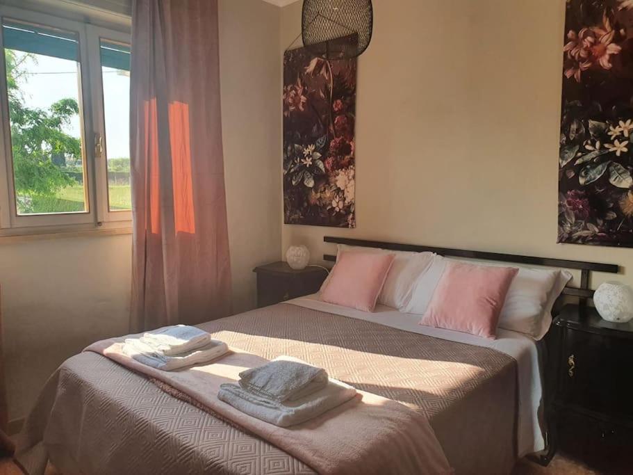MoLo - residenza con accesso diretto al lago Lazise Esterno foto