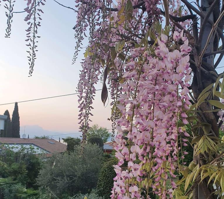 MoLo - residenza con accesso diretto al lago Lazise Esterno foto